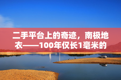 二手平台上的奇迹，南极地衣——100年仅长1毫米的稀有奇珍