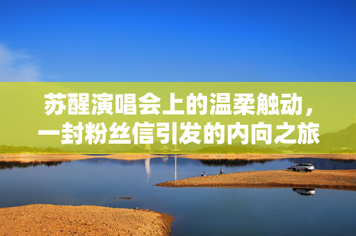 苏醒演唱会上的温柔触动，一封粉丝信引发的内向之旅