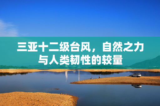 三亚十二级台风，自然之力与人类韧性的较量
