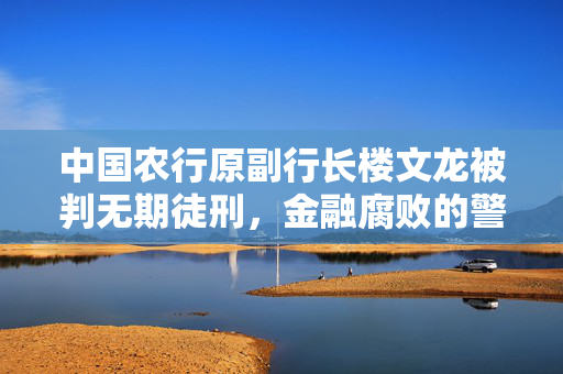 中国农行原副行长楼文龙被判无期徒刑，金融腐败的警示