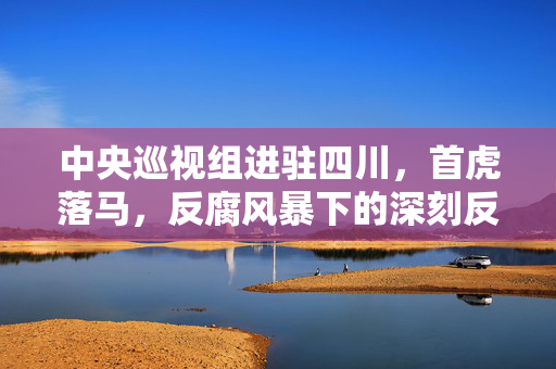 中央巡视组进驻四川，首虎落马，反腐风暴下的深刻反思