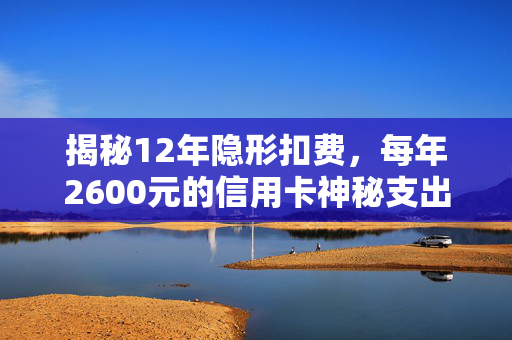 揭秘12年隐形扣费，每年2600元的信用卡神秘支出