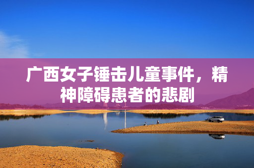 广西女子锤击儿童事件，精神障碍患者的悲剧