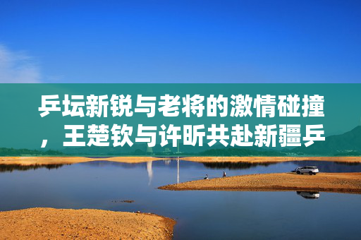 乒坛新锐与老将的激情碰撞，王楚钦与许昕共赴新疆乒超之旅