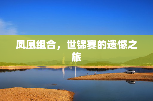 凤凰组合，世锦赛的遗憾之旅