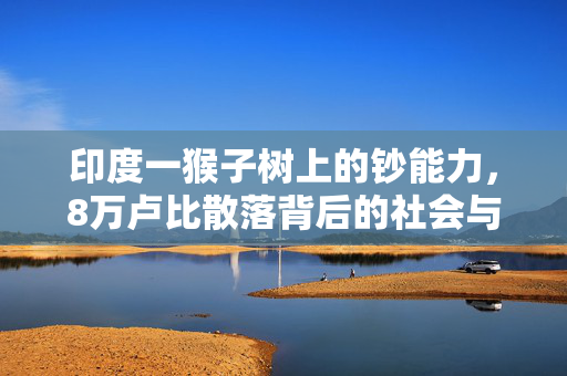 印度一猴子树上的钞能力，8万卢比散落背后的社会与文化反思