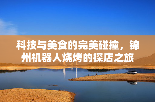 科技与美食的完美碰撞，锦州机器人烧烤的探店之旅