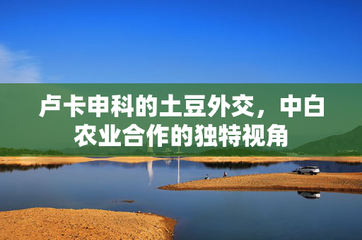 卢卡申科的土豆外交，中白农业合作的独特视角
