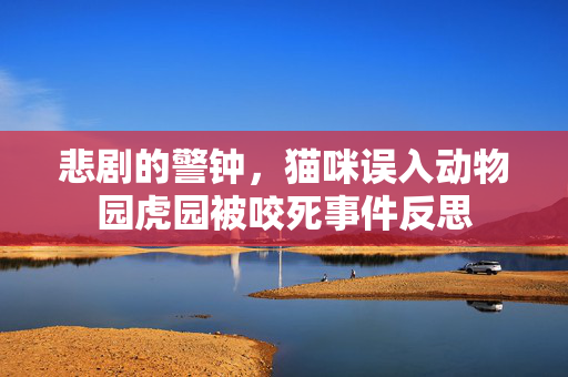 悲剧的警钟，猫咪误入动物园虎园被咬死事件反思