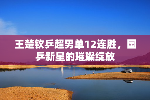 王楚钦乒超男单12连胜，国乒新星的璀璨绽放