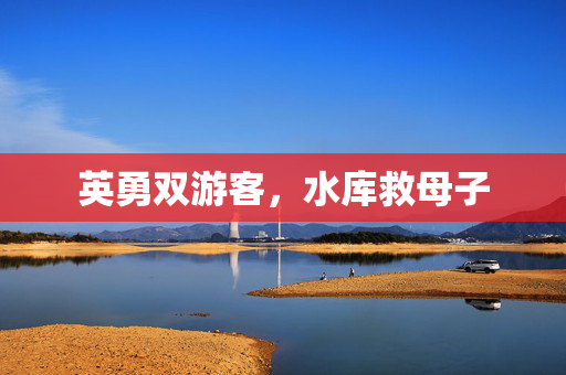 英勇双游客，水库救母子