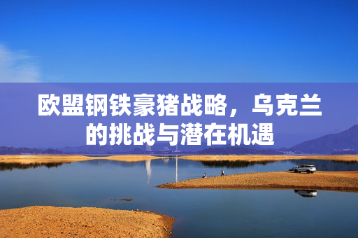 欧盟钢铁豪猪战略，乌克兰的挑战与潜在机遇