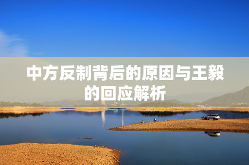 中方反制背后的原因与王毅的回应解析