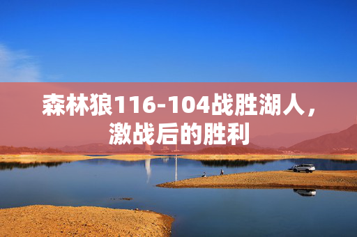 森林狼116-104战胜湖人，激战后的胜利