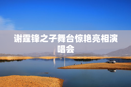 谢霆锋之子舞台惊艳亮相演唱会