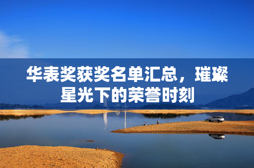 华表奖获奖名单汇总，璀璨星光下的荣誉时刻