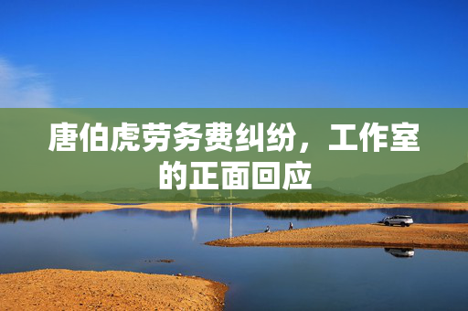 唐伯虎劳务费纠纷，工作室的正面回应