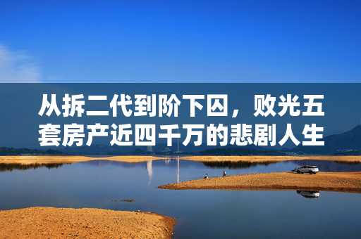 从拆二代到阶下囚，败光五套房产近四千万的悲剧人生