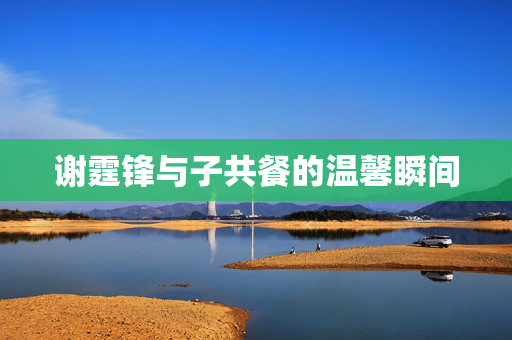 谢霆锋与子共餐的温馨瞬间