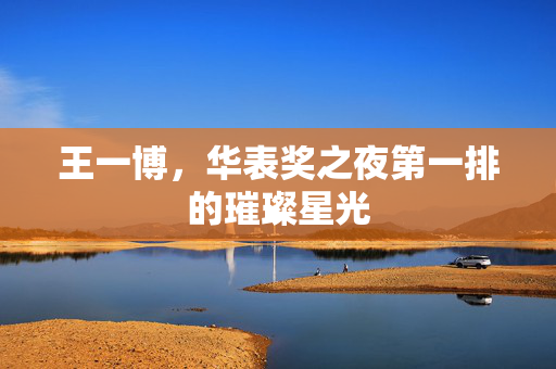 王一博，华表奖之夜第一排的璀璨星光