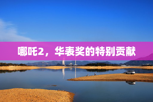 哪吒2，华表奖的特别贡献