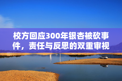 校方回应300年银杏被砍事件，责任与反思的双重审视
