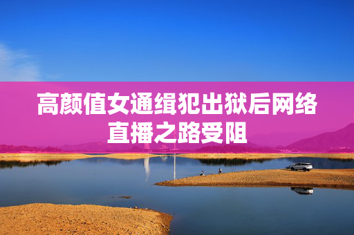 高颜值女通缉犯出狱后网络直播之路受阻