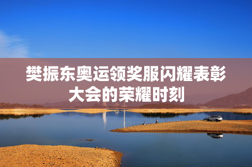 樊振东奥运领奖服闪耀表彰大会的荣耀时刻