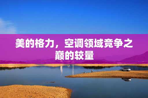 美的格力，空调领域竞争之巅的较量