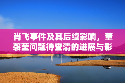 肖飞事件及其后续影响，董袭莹问题待查清的进展与影响