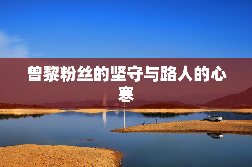 曾黎粉丝的坚守与路人的心寒