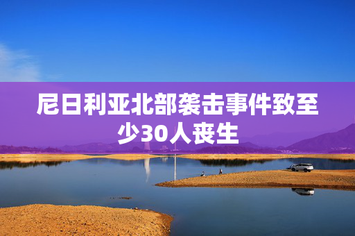 尼日利亚北部袭击事件致至少30人丧生
