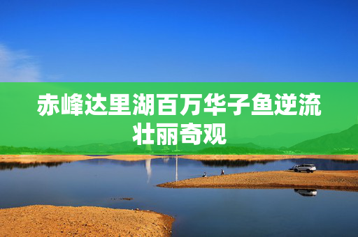赤峰达里湖百万华子鱼逆流壮丽奇观