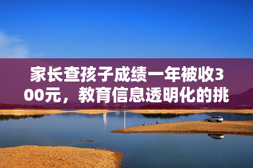 家长查孩子成绩一年被收300元，教育信息透明化的挑战与思考