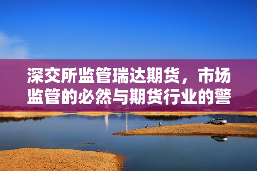 深交所监管瑞达期货，市场监管的必然与期货行业的警醒