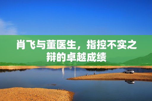 肖飞与董医生，指控不实之辩的卓越成绩