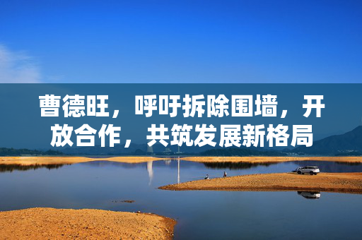 曹德旺，呼吁拆除围墙，开放合作，共筑发展新格局