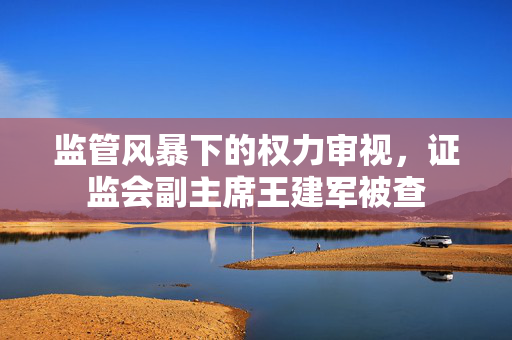 监管风暴下的权力审视，证监会副主席王建军被查