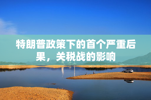 特朗普政策下的首个严重后果，关税战的影响