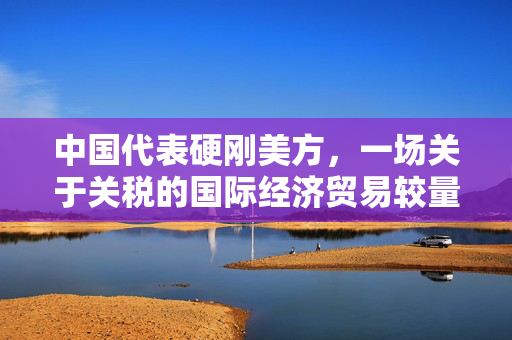 中国代表硬刚美方，一场关于关税的国际经济贸易较量