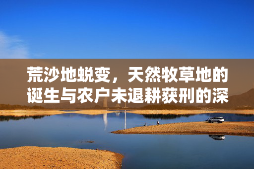荒沙地蜕变，天然牧草地的诞生与农户未退耕获刑的深度反思