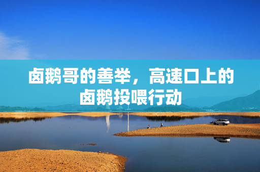卤鹅哥的善举，高速口上的卤鹅投喂行动