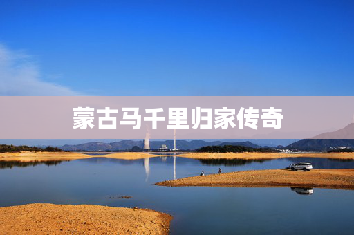 蒙古马千里归家传奇