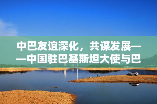 中巴友谊深化，共谋发展——中国驻巴基斯坦大使与巴总理会面纪实