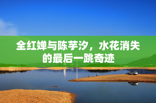 全红婵与陈芋汐，水花消失的最后一跳奇迹
