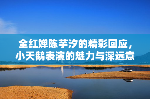 全红婵陈芋汐的精彩回应，小天鹅表演的魅力与深远意义