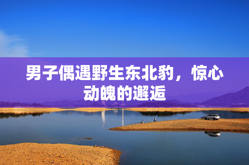 男子偶遇野生东北豹，惊心动魄的邂逅