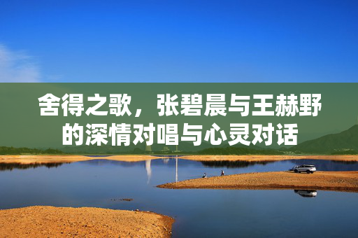 舍得之歌，张碧晨与王赫野的深情对唱与心灵对话