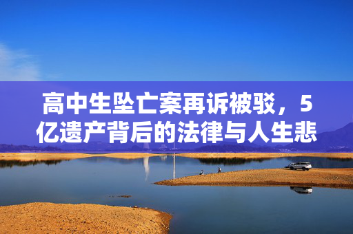 高中生坠亡案再诉被驳，5亿遗产背后的法律与人生悲剧