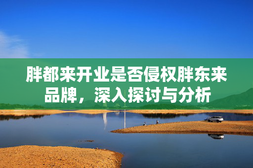 胖都来开业是否侵权胖东来品牌，深入探讨与分析